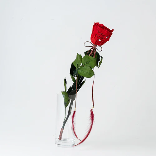 ガラスのフラワーベースに飾られた１輪の赤いバラ