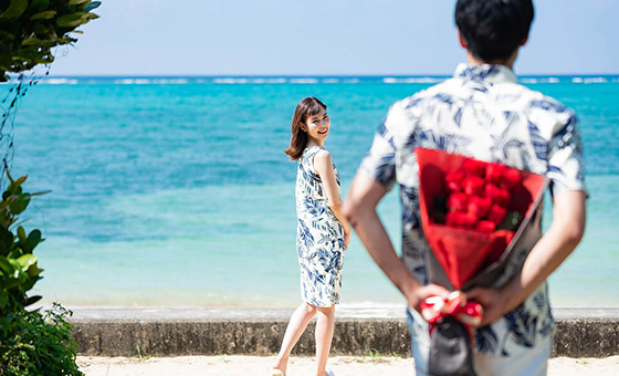 Resort Proposal Photo (Okinawa)