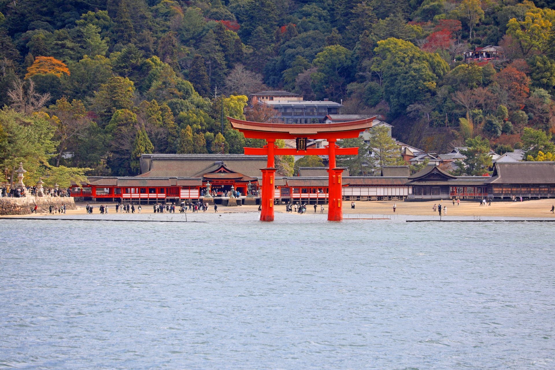 広島でのプロポーズにおすすめな宮島 厳島神社を海側から見た景色