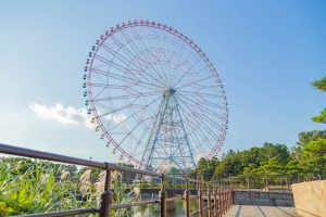 前撮りやウェディングフォトのスポットとして人気の葛西臨海公園