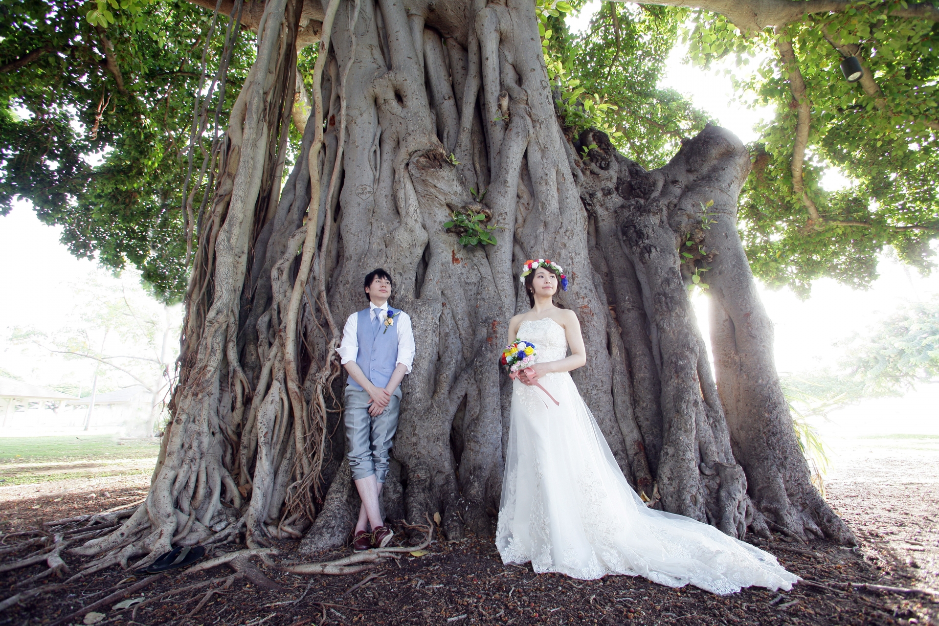 大きな木の下で撮影したウェディングドレスとタキシードを着た新郎新婦の、自然に囲まれたウェディングフォト