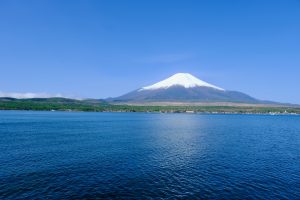 前撮り・ウェディングフォトの撮影におすすめの山中　湖長池親水公園