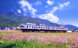 プロポーズスポットとして人気の一畑電車