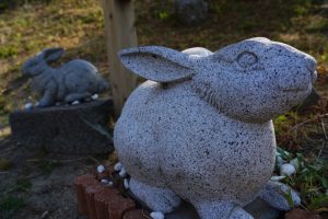 鳥取県のプロポーズスポットとして人気の白兎神社