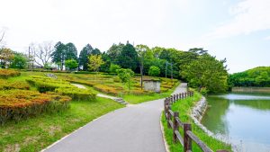 佐賀県の絶景スポット　鏡山