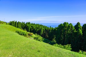 宮崎県の観光スポット　都井岬
