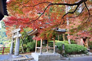 佐賀県の恋人の聖地　大興善寺