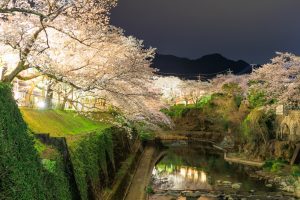 佐賀県の観光スポット　嬉野温泉