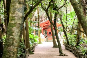 宮崎県の観光スポット　青島神社