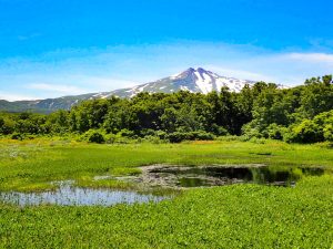 秋田県でプロポーズスポットとして人気の鳥海山・獅子ヶ鼻湿原