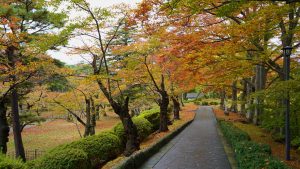 秋田県でプロポーズスポットとして人気の千秋公園