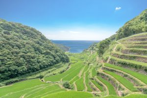 佐賀県の恋人の聖地　浜野浦の棚田