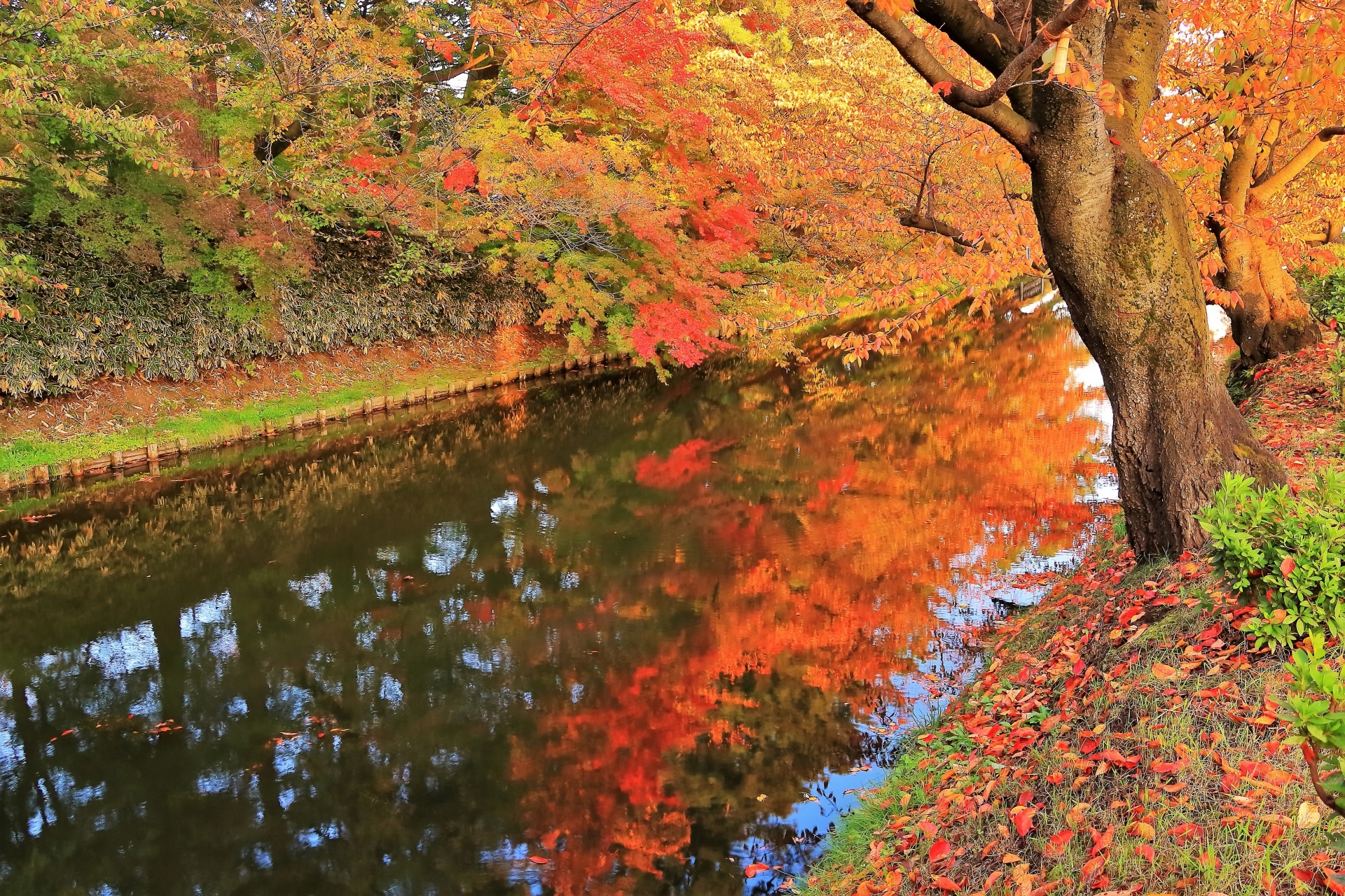 紅葉が美しい青森のプロポーズスポット