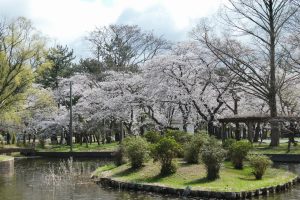 青森でプロポーズスポットとして人気の合浦公園