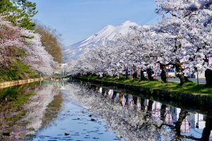 青森でプロポーズスポットとして人気の弘前公園