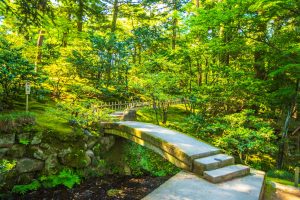 石川県のプロポーズスポットとして人気の兼六園