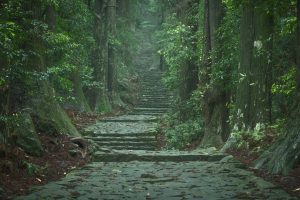 和歌山県のプロポーズスポットとして人気の熊野古道・大門坂