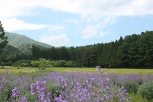 岩手でプロポーズスポットとして人気の恋人の聖地　石神の丘美術館