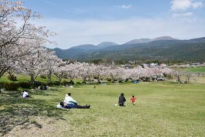 鹿児島県のプロポーズスポットとして人気の高千穂牧場