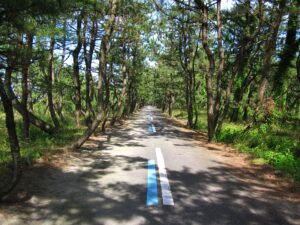 富山県でプロポーズスポットとして人気の富山湾岸サイクリングロード沿道