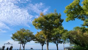 富山県でプロポーズスポットとして人気の恋人の聖地 有磯海サービスエリア