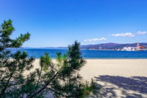 福井のプロポーズスポットとして人気の気比の松原