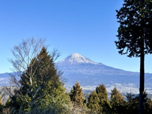 山梨県のプロポーズスポットとして人気の恋人の聖地　白鳥山森林公園