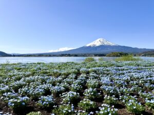 山梨県のプロポーズスポットとして人気の富士五湖エリア