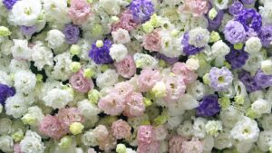 ピンク、白、紫のトルコキキョウ