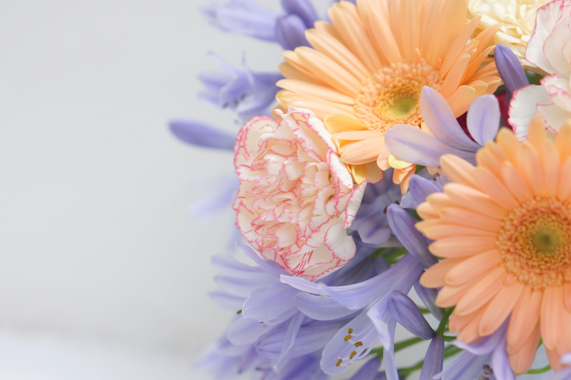 アガパンサスとガーベラ、カーネーションの花束