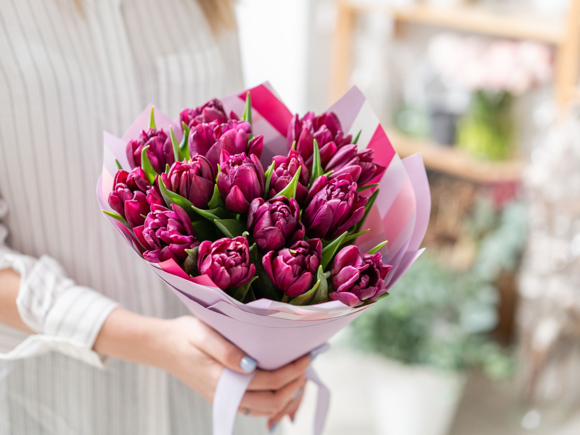 赤紫色のチューリップの花束