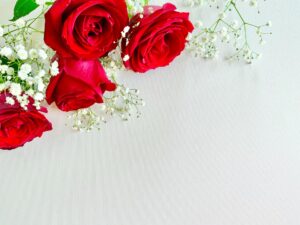 プロポーズのプレゼントとして人気の白いかすみ草と赤いバラの花束