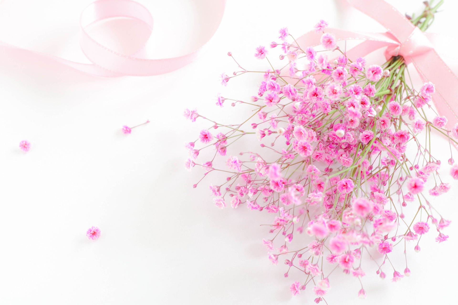 プロポーズのプレゼントとして人気のピンクのかすみ草花束