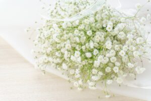 プロポーズのプレゼントとして人気の純白のかすみ草のブーケ