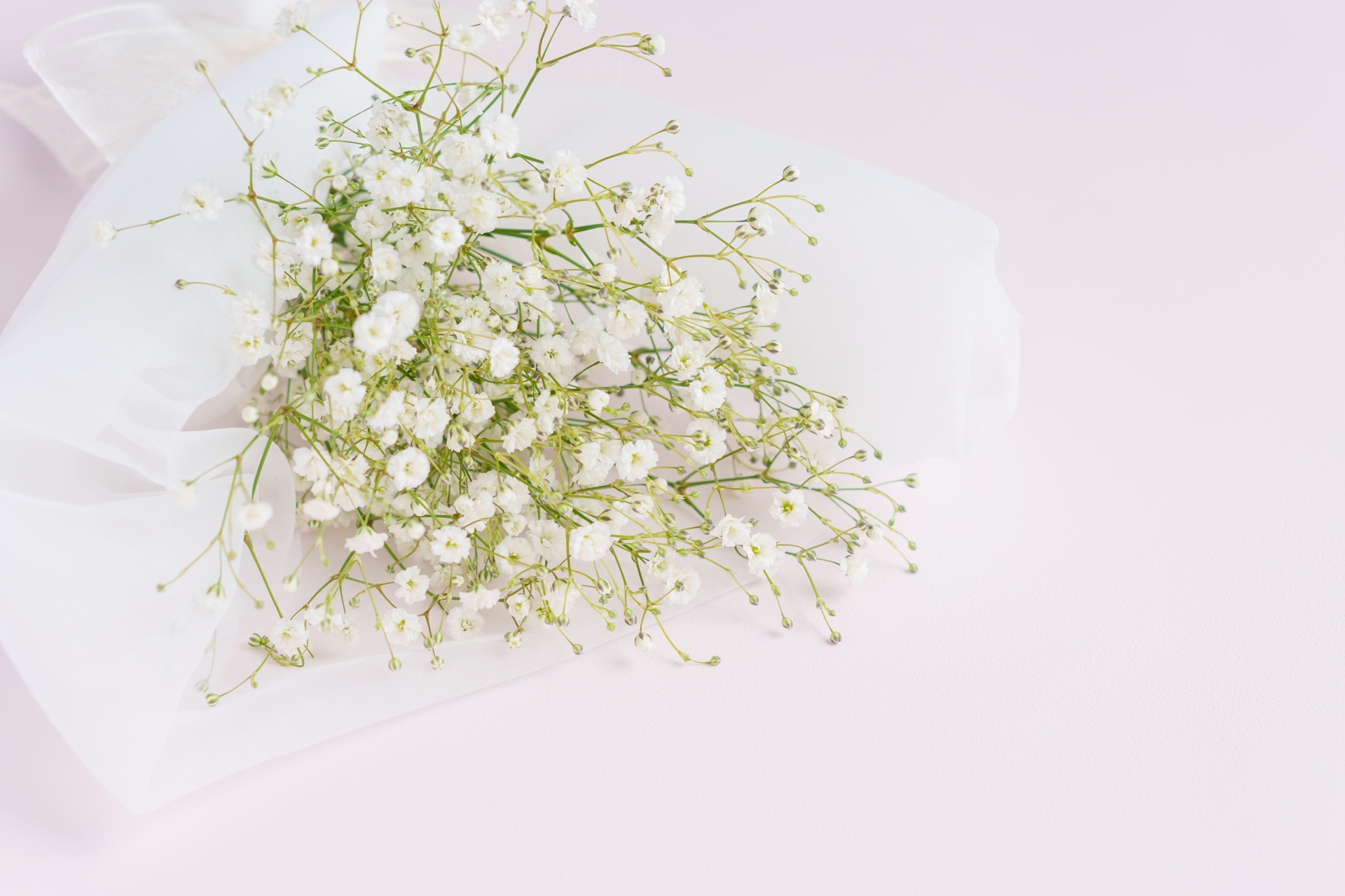 プロポーズのプレゼントとして人気の白いカスミソウの花束