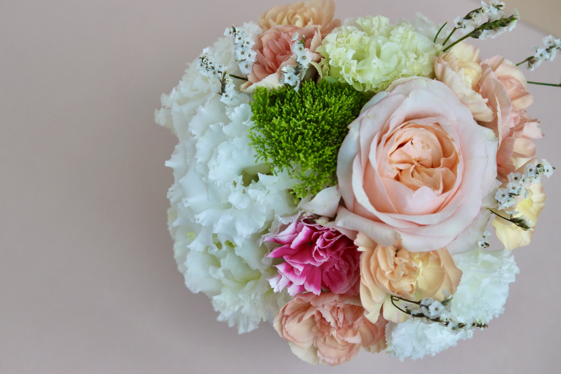 プロポーズのプレゼントとして人気のカーネーションとバラの花束