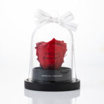 メッセージ入りの赤いプリザーブドローズをガラスドームで飾れるフラワーギフト