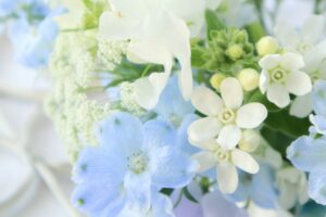 プロポーズのプレゼントに最適な白いブルースターと青いデルフィニウム、白いレースフラワーの花束
