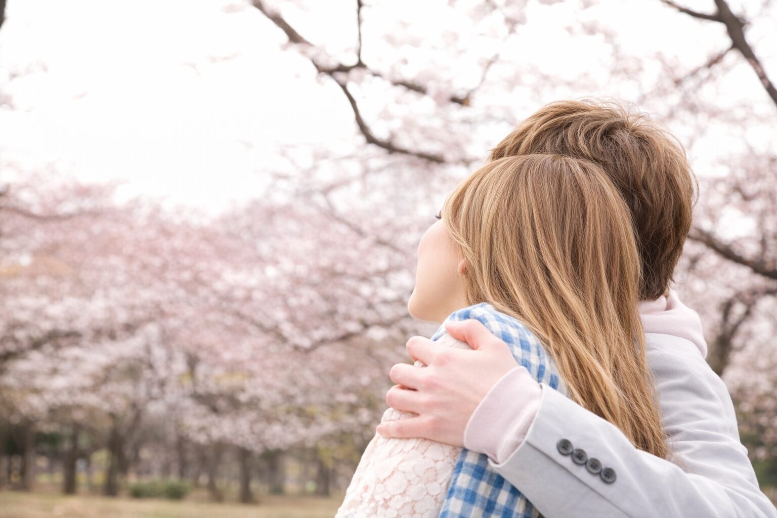 桜の木の下でプロポーズするカップル
