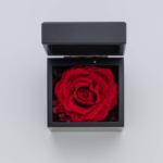 メッセージ入りの赤いプリザーブドローズのオルゴールボックス