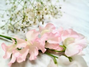 プロポーズのプレゼントに最適なスイートピーとカスミソウの花束