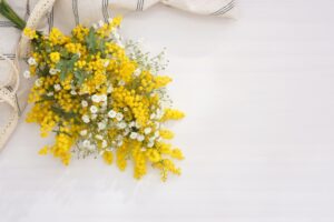 プロポーズのプレゼントに最適なミモザとかすみ草の花束